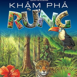 Exploring the Forest (Khám phá rừng)